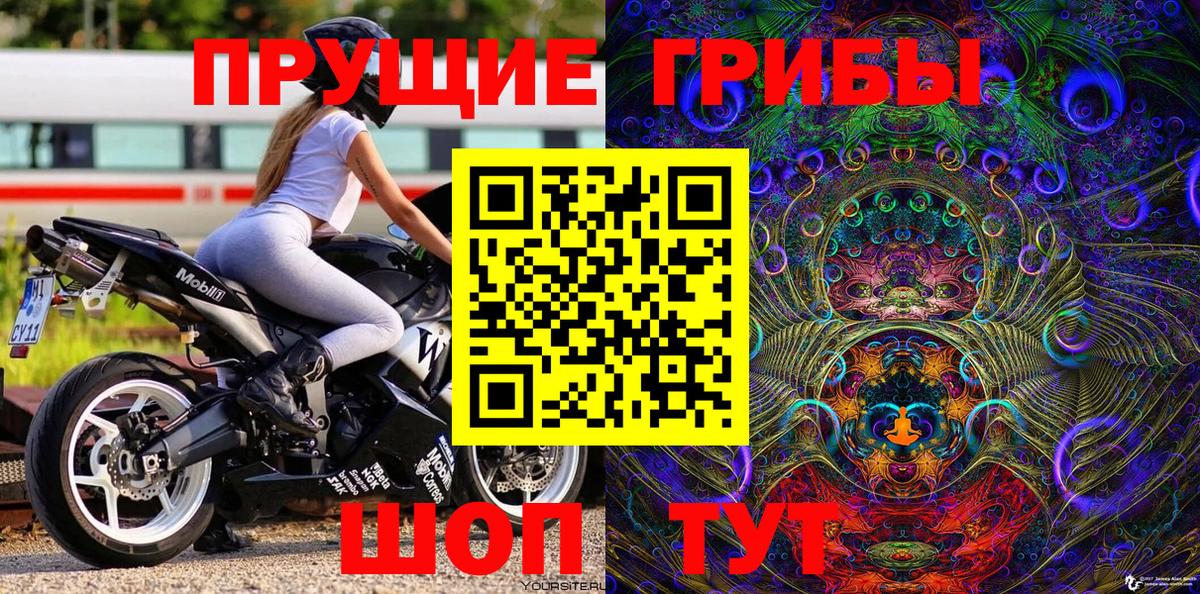 Псилоцибиновые грибы Psilocybine cubensis Калининград